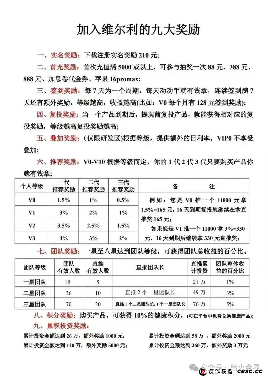 “维尔利”缅北杀猪盘骗局项目最新情况