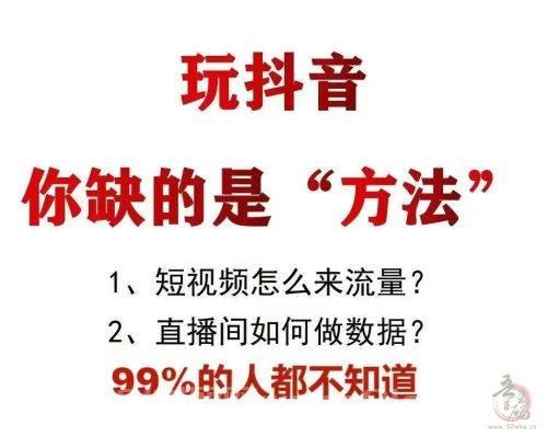 抖音业务真人下单24小时免费平台：智能高效运营助手，安全稳定提升账号曝光