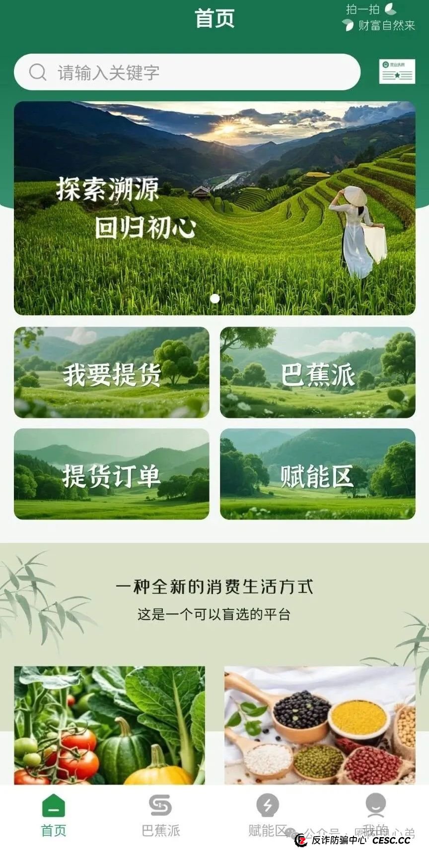 悠然境-巴蕉派小红蕉，互助竞拍骗局，过往类型有办案部门通报，注意警惕。